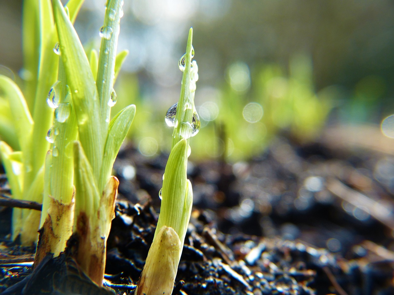 “Great Basin Ecological Research” / The Great Basin’s Water Woes:…