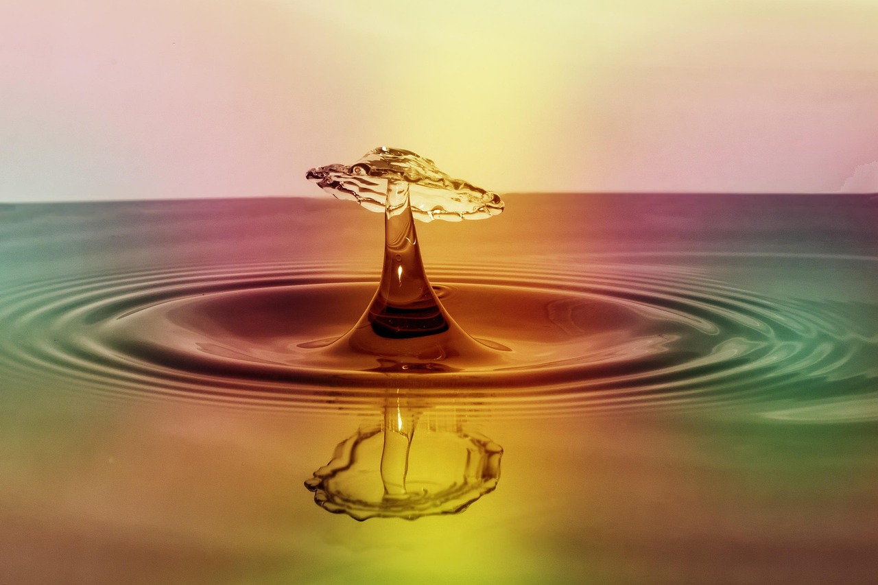 “Great Basin Water Shortage Solutions” | The Great Basin: A…