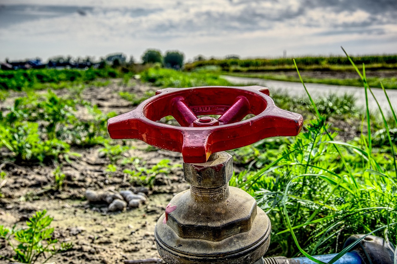 Irrigation Water Solutions » Thirsty Land: How The Great Basin…