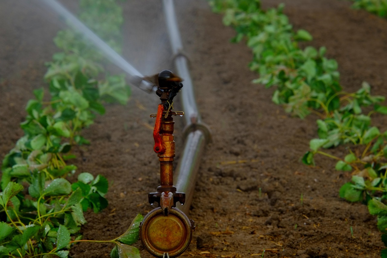 Smart Irrigation Technology For Agriculture ~ The Great Basin’s Thirsty…