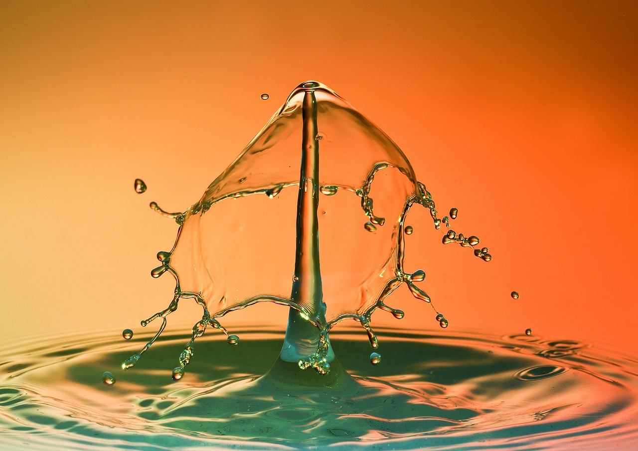 Water Shortage » The Great Basin: A Thirsty Land TL;DR:…