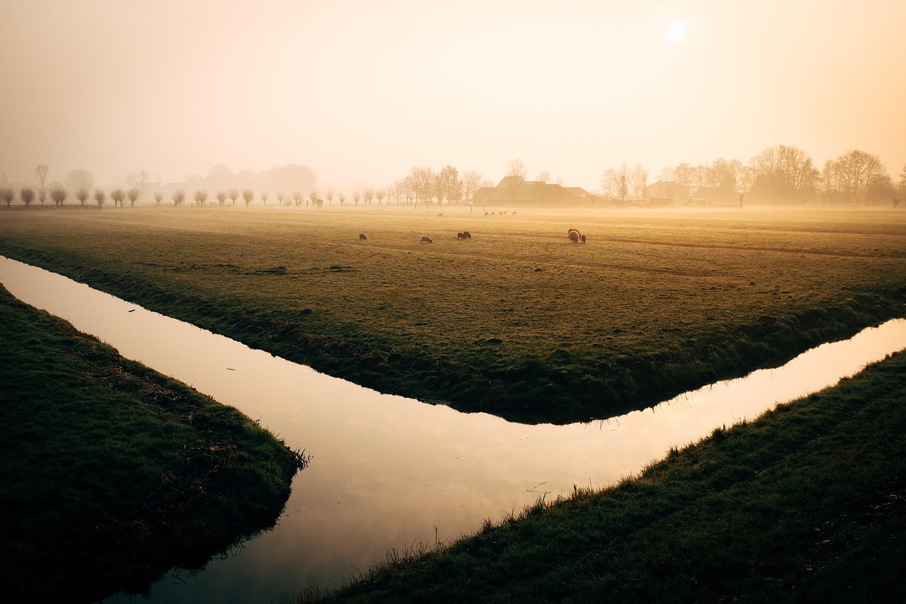 Water-efficient Irrigation Techniques » The Great Basin: A Thirsty Land…