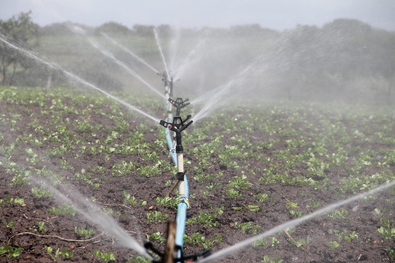 Water-efficient Irrigation Techniques: 💦 The Great Basin’s Water: A Race…