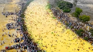 India Poured Billions of Tons of Unsalted Water on Barren Land, a Week Later the Result Was Shocking