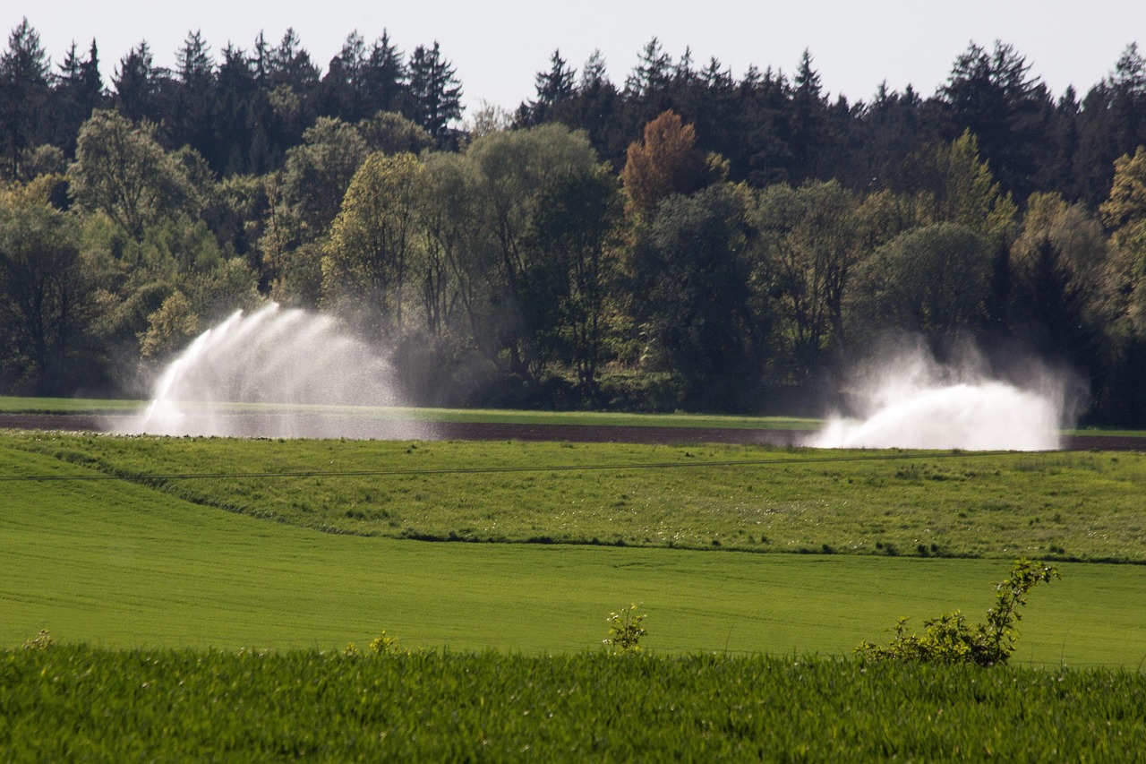 Cost-effective Irrigation Water Management – The Great Basin: A Thirsty…