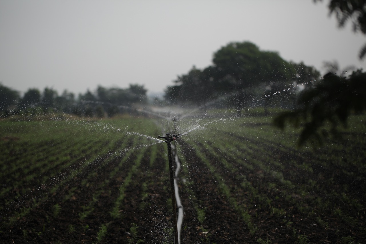 Drip Irrigation Solutions For Gardens / The Great Basin: A…