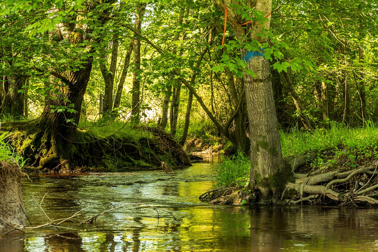 Effective Water Conservation Techniques: The Great Basin: A Thirsty Land…