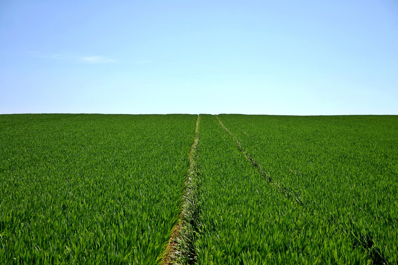 Efficient Irrigation Systems For Farms ~ The Great Basin: A…