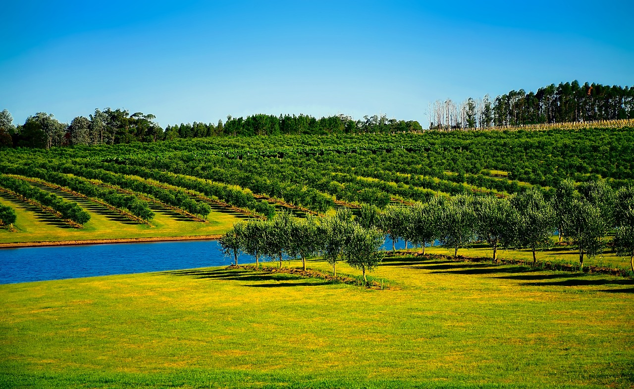 Efficient Irrigation Systems For Farms ~ The Great Basin: A…