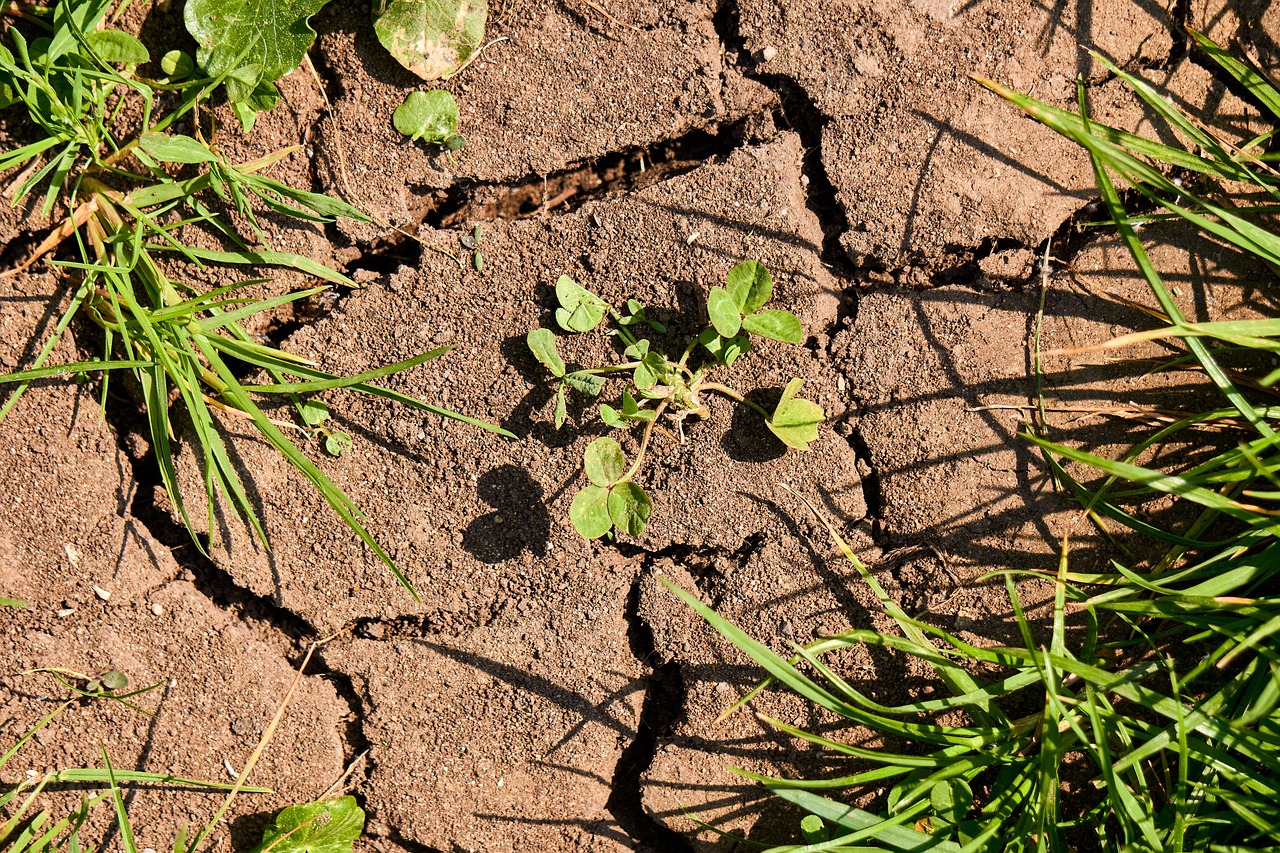 “Great Basin Agricultural Water Use” ~ The Great Basin: A…