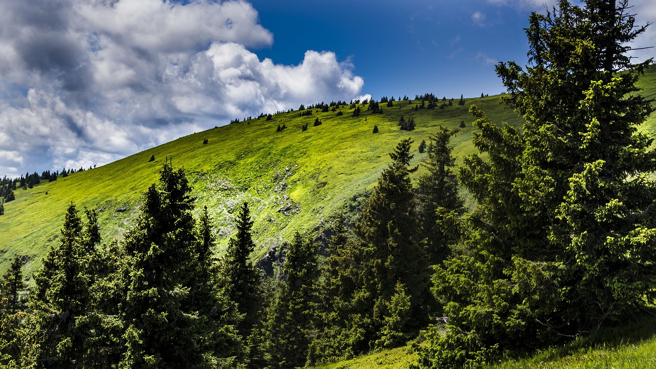 “Great Basin Water Cycle Explanation” | The Great Basin: A…