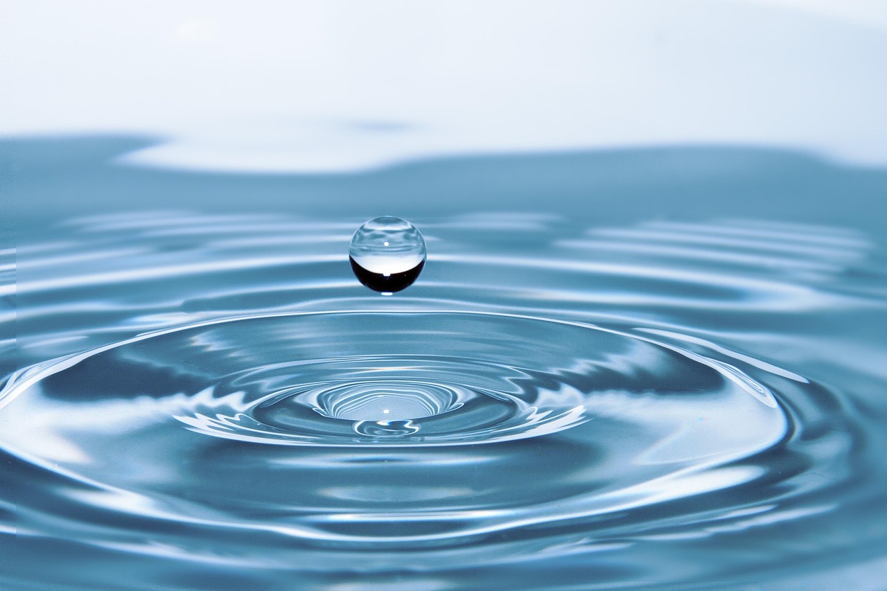 “Great Basin Water Shortage Solutions” | The Great Basin: A…