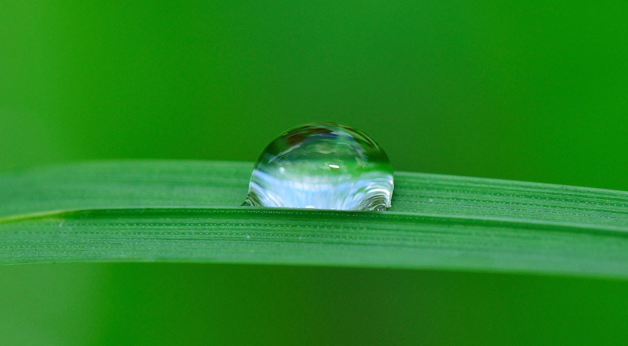 Irrigation Water Solutions | 💧 The Great Basin’s Water Puzzle:…