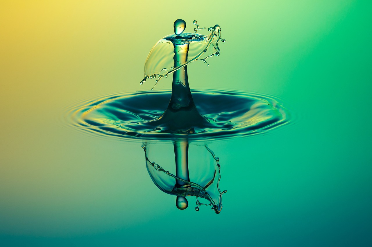 Long-term Water Shortage Management – The Great Basin’s Thirsty Future:…