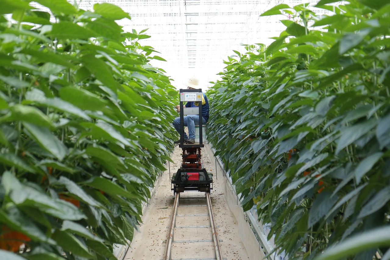 Smart Irrigation Technology For Agriculture: The Great Basin: Where Water…