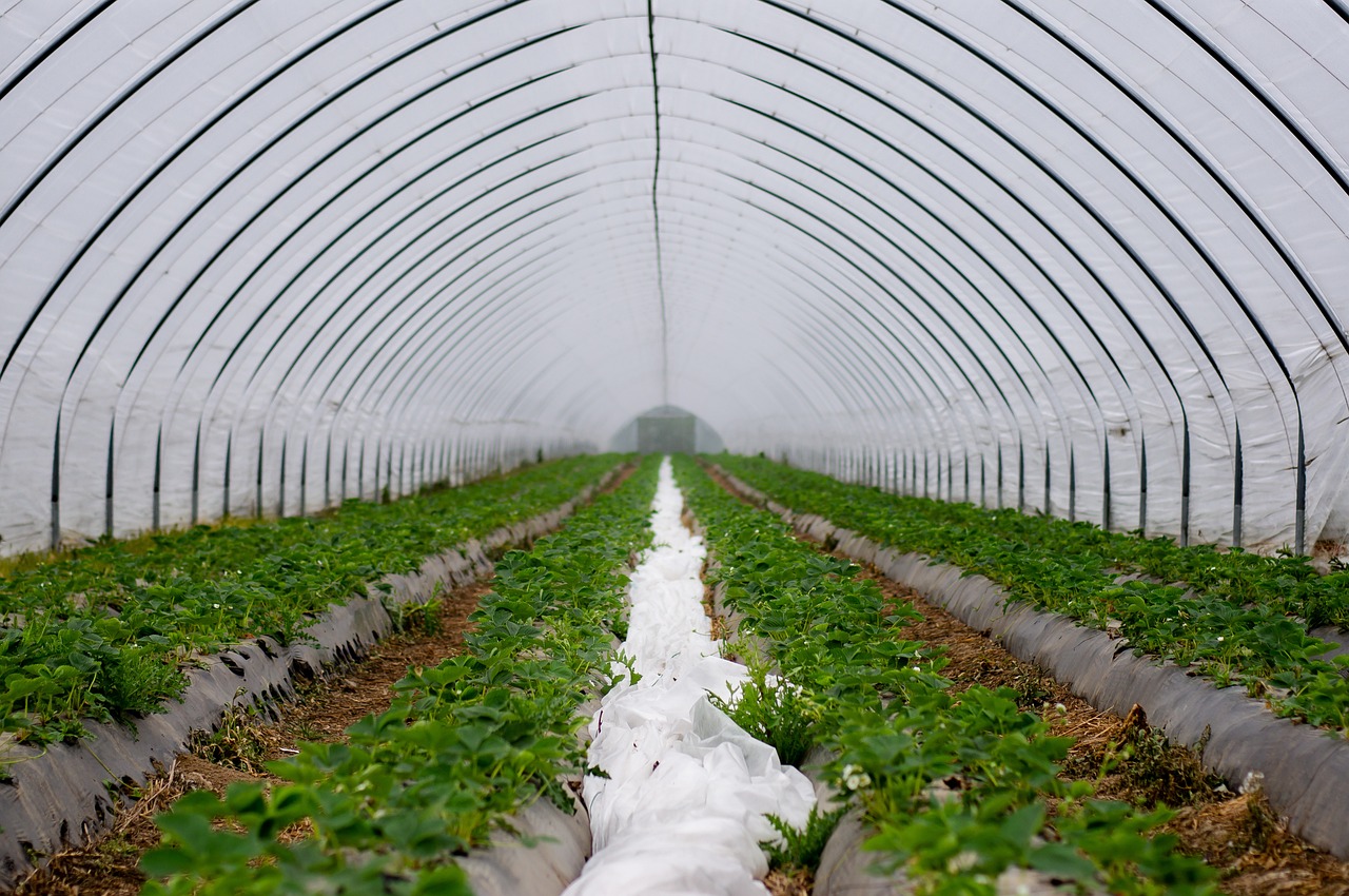 Water-efficient Irrigation Techniques ~ 💧 The Great Basin: A Thirsty…