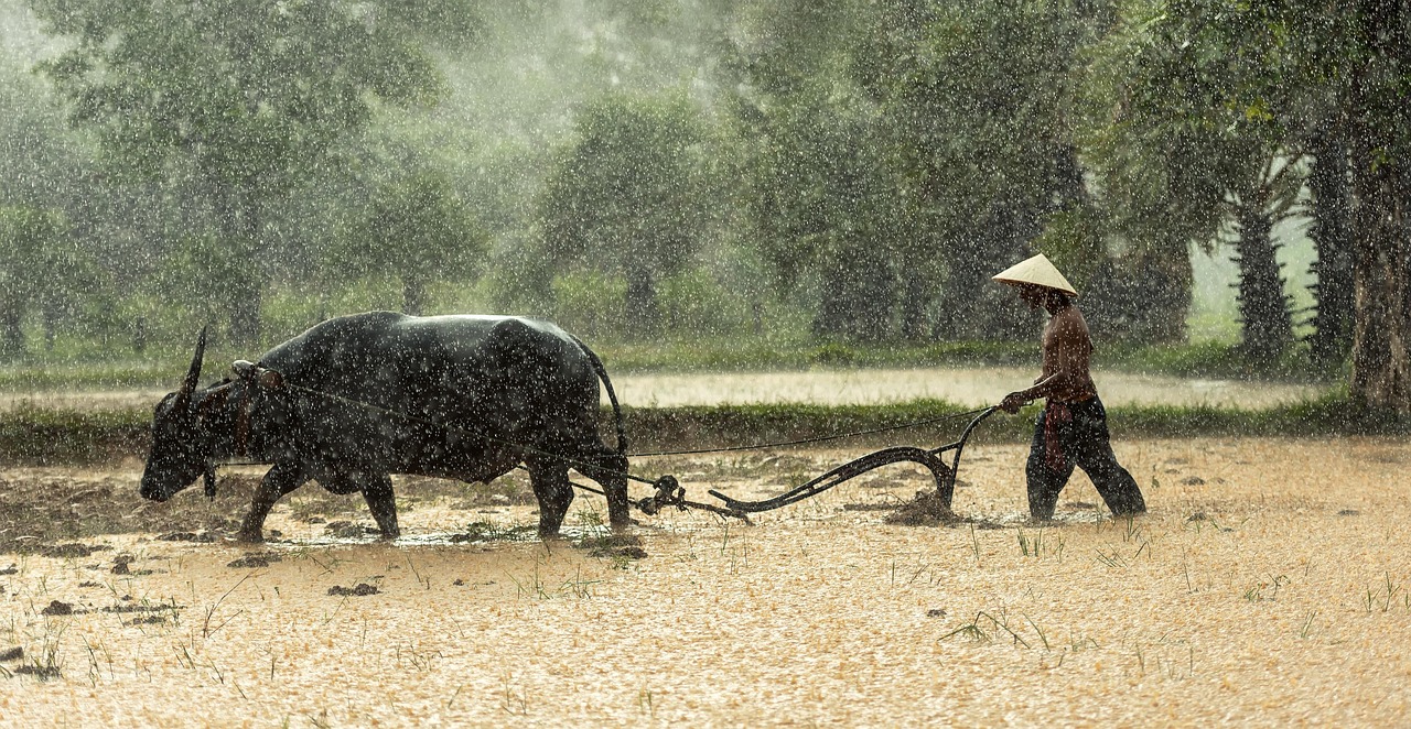 Water Scarcity Solutions For Agriculture » The Great Basin: A…