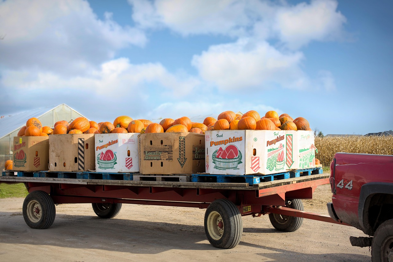Efficient Irrigation Systems For Farms » Thirsty Land: Understanding The…
