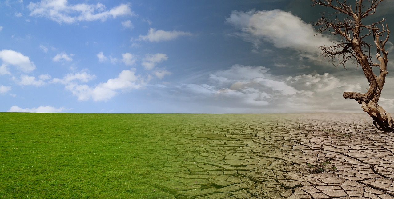 Long-term Water Shortage Management – The Great Basin: A Thirsty…