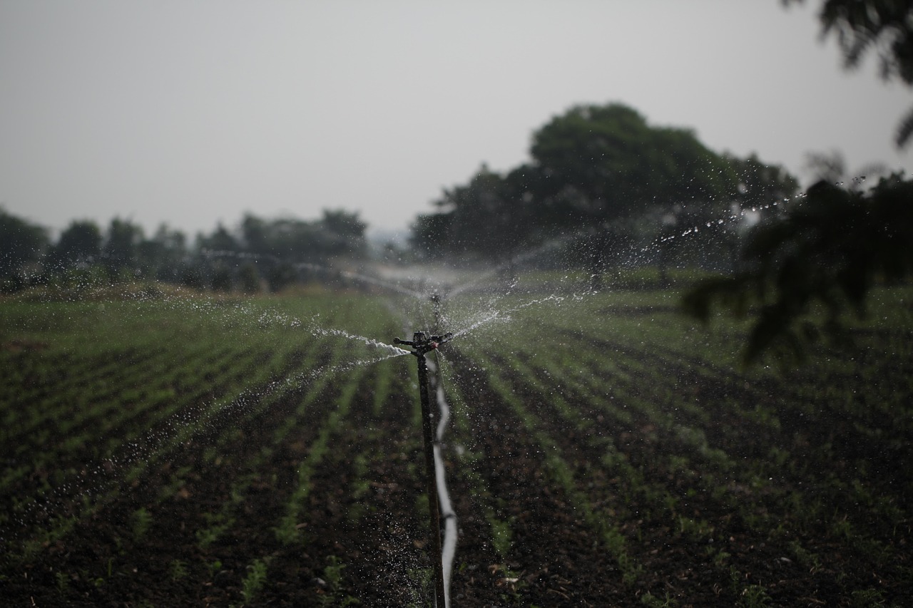 Long-term Water Shortage Management: The Great Basin: A Thirsty Land…