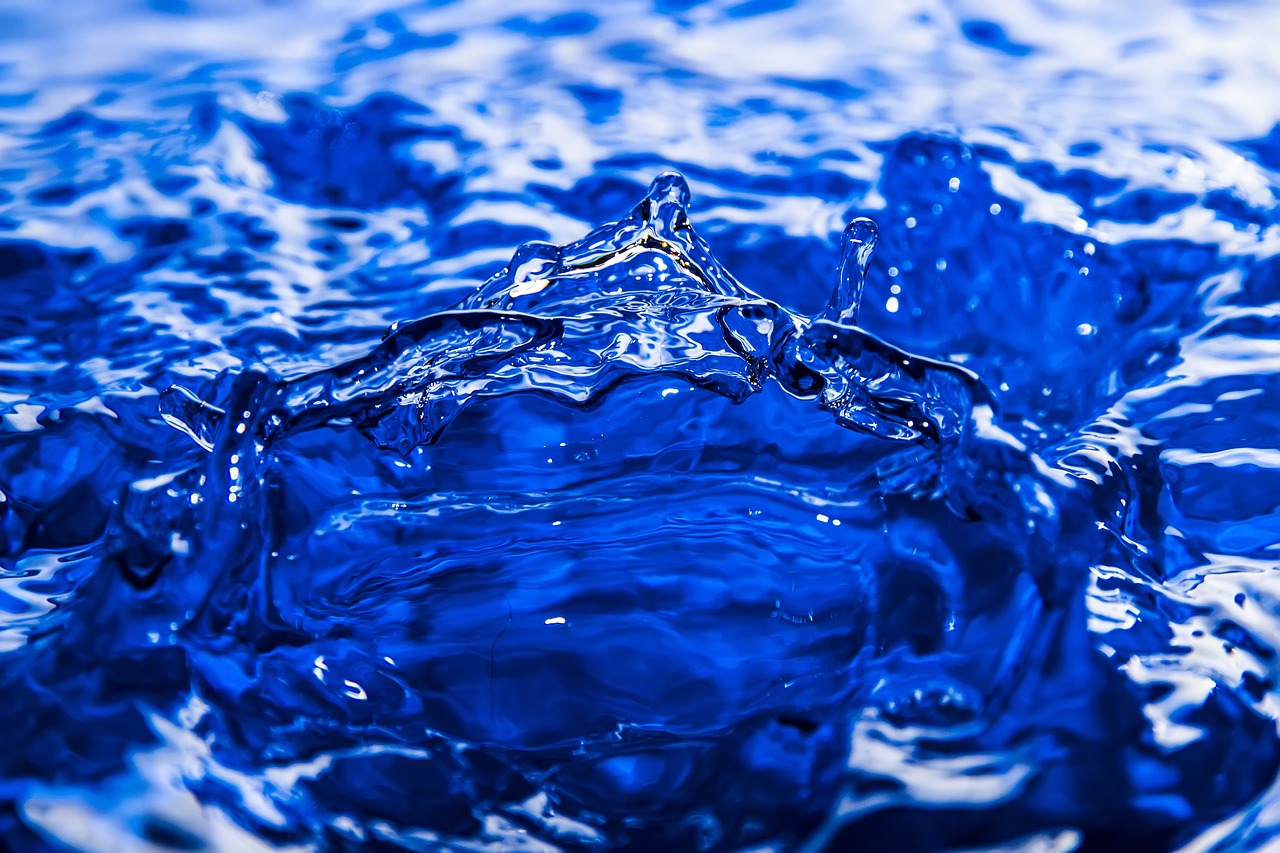 Water Shortage ~ The Great Basin: A Thirsty Land TL;DR:…