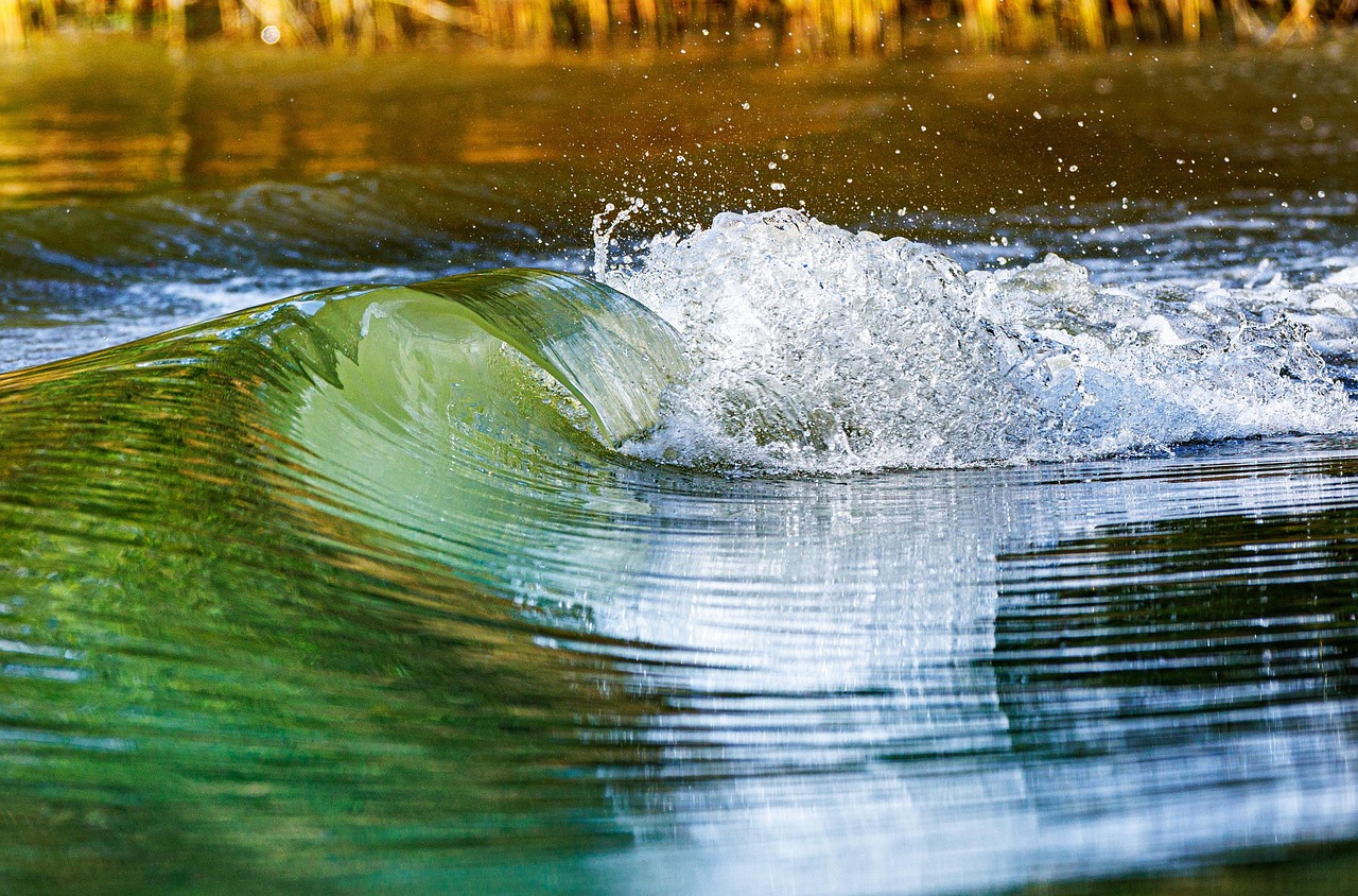 Water Shortage | The Great Basin: A Thirsty Land TL;DR:…