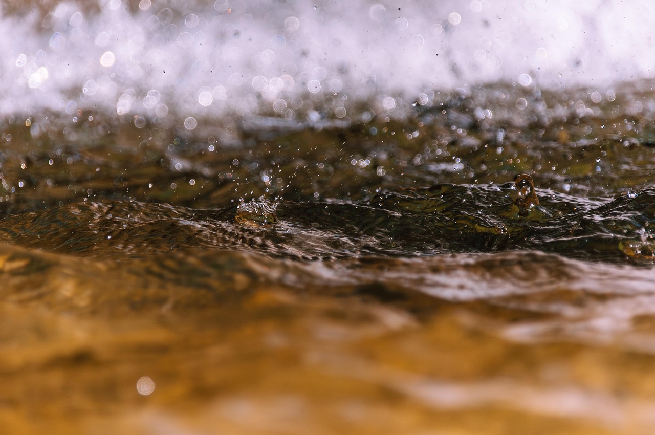 Water Shortage ~ 💦 The Great Basin: A Thirsty Land…