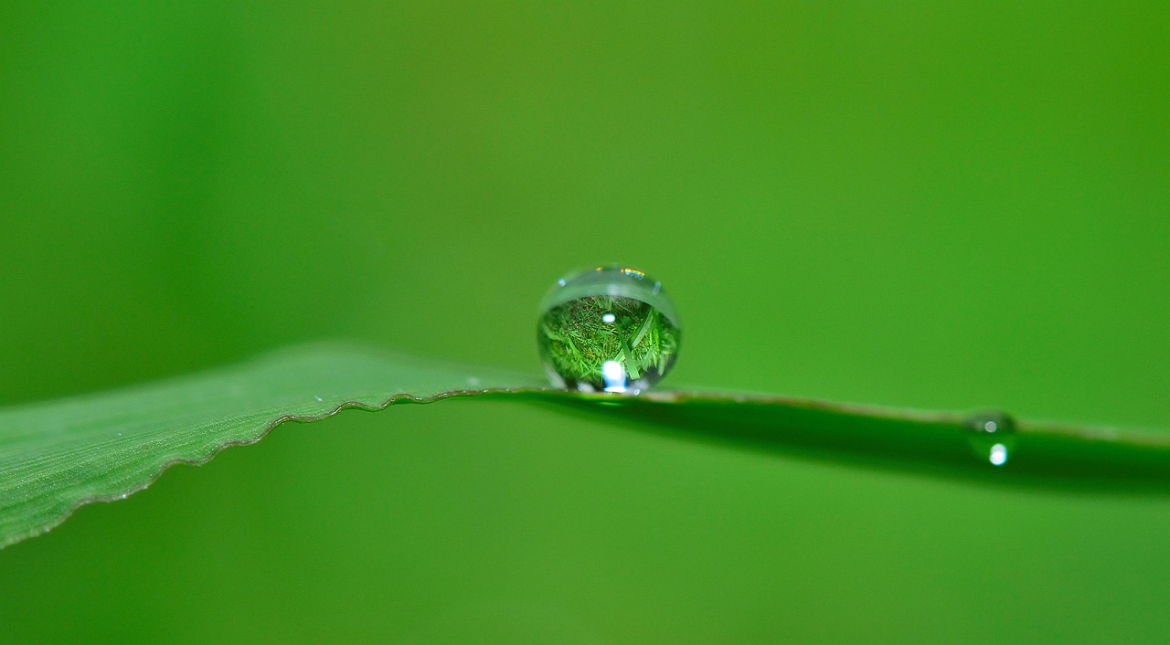 Cost-effective Irrigation Water Management | 💦 The Great Basin: Where…