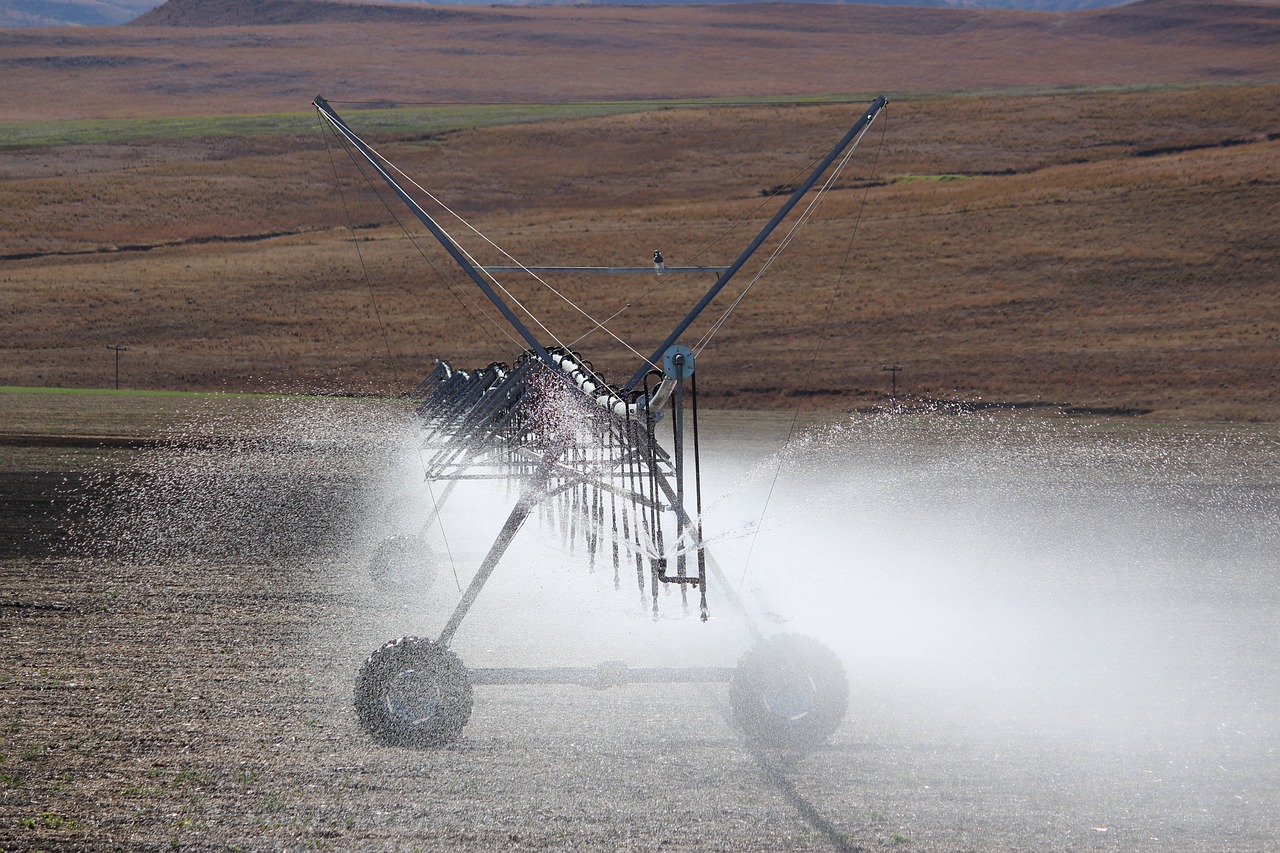 Drip Irrigation Solutions For Gardens / The Great Basin: Where…