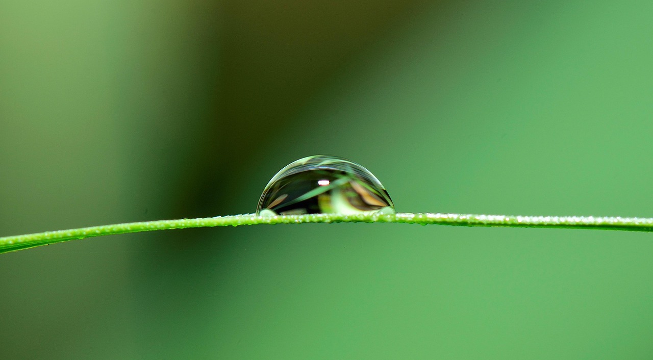 Drip Irrigation Solutions For Gardens / The Great Basin: A…