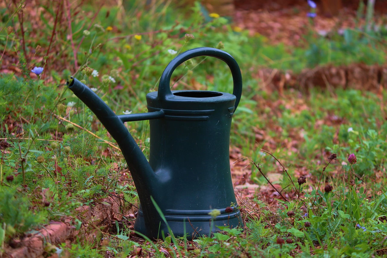 Drip Irrigation Solutions For Gardens: The Great Basin: A Land…