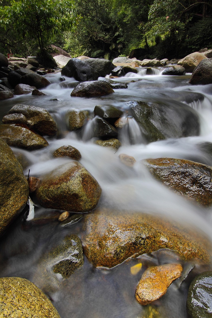Effective Water Conservation Techniques – The Great Basin: A Land…