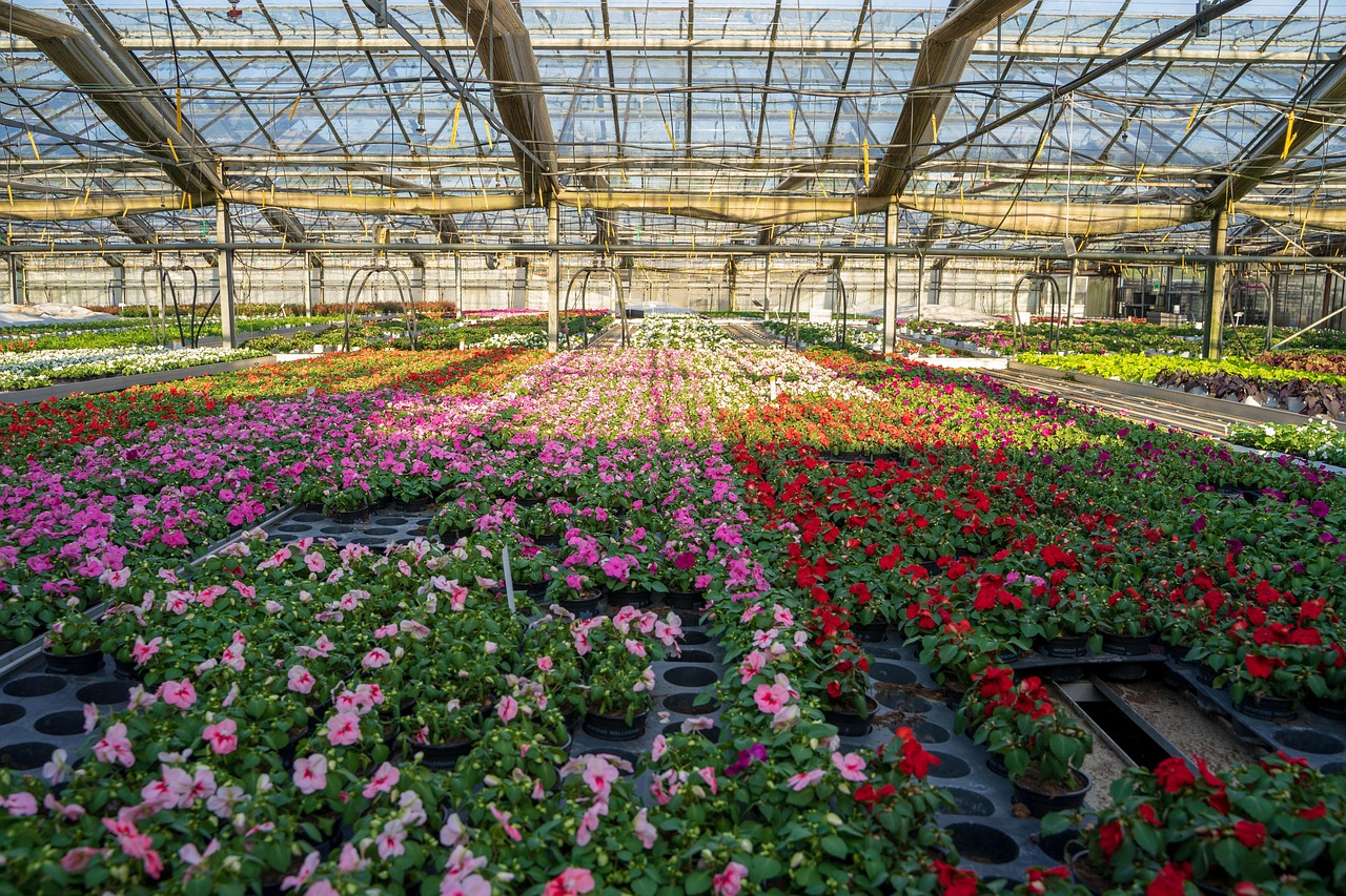 Efficient Irrigation Systems For Farms – The Great Basin: A…