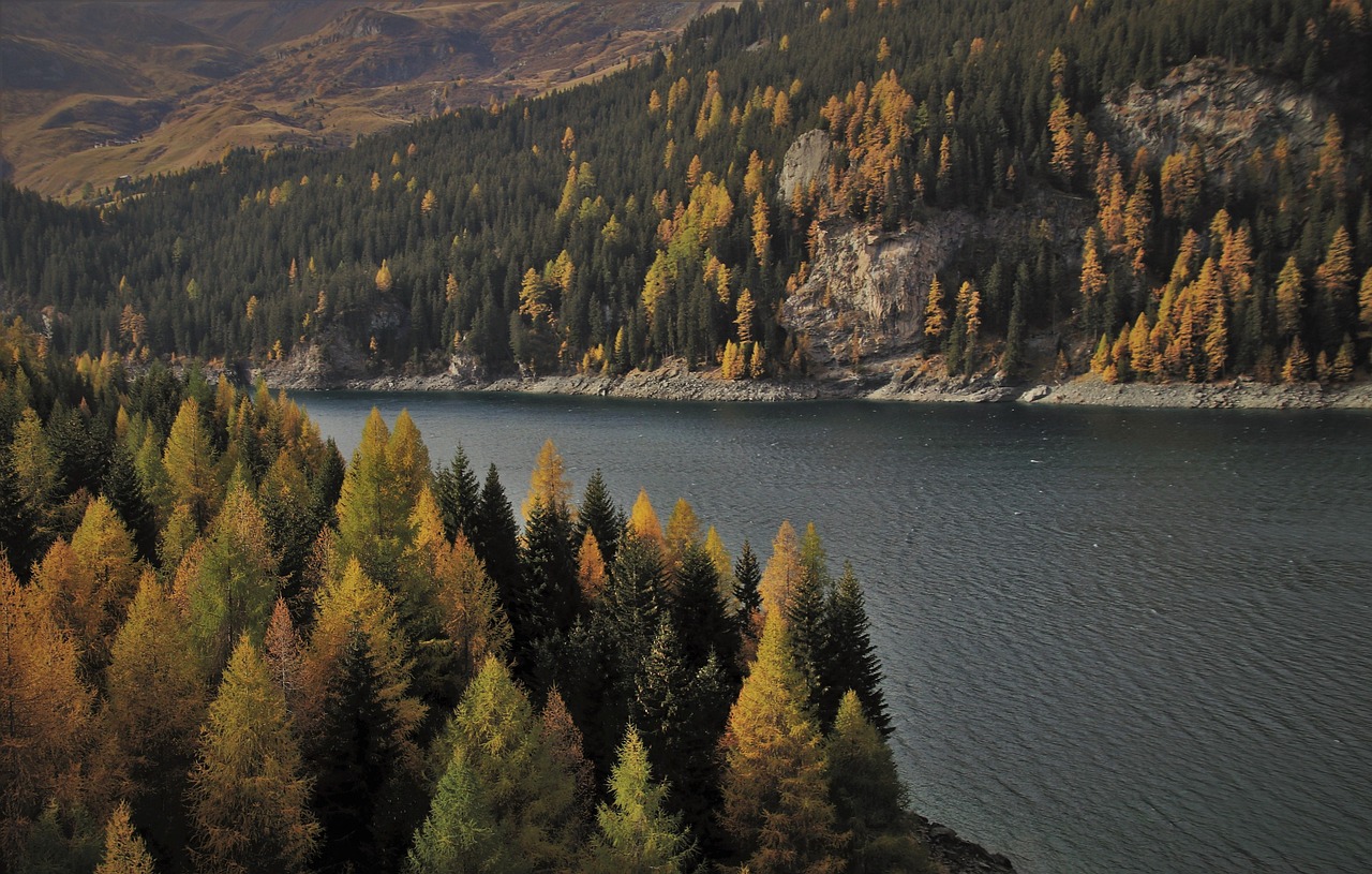 “Great Basin Agricultural Water Use”: Water Woes In The Great…
