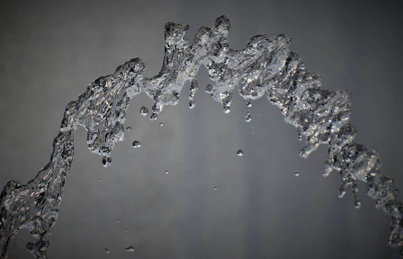 “Great Basin Water Conservation Methods” » The Great Basin: A…