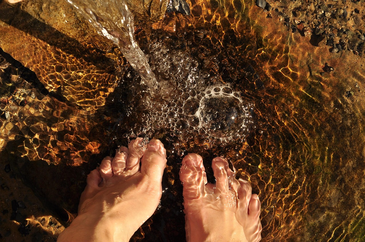 “Great Basin Water Conservation Methods” / The Great Basin: A…