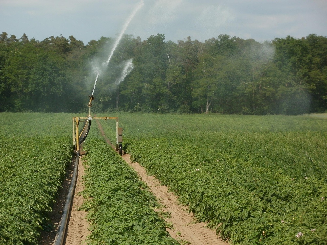 Irrigation Water Solutions / The Great Basin’s Thirsty Story: Why…