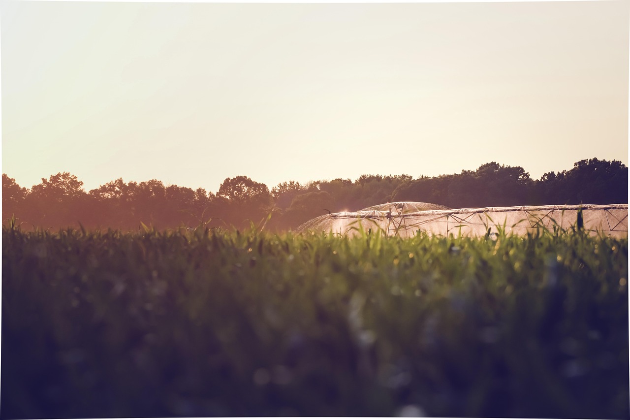 Irrigation Water Solutions ~ The Great Basin: Where Water Is…