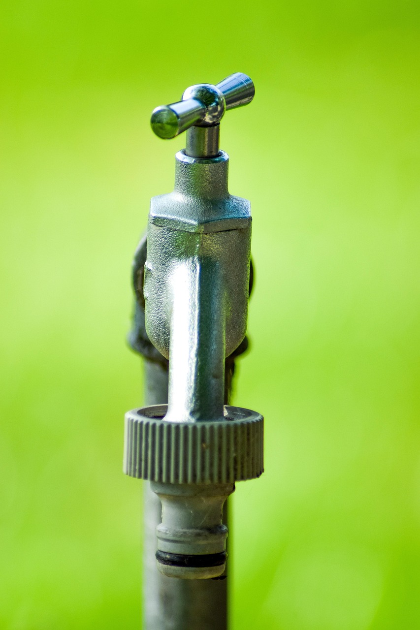 Irrigation Water Solutions: The Great Basin’s Thirsty Story: Understanding Water…