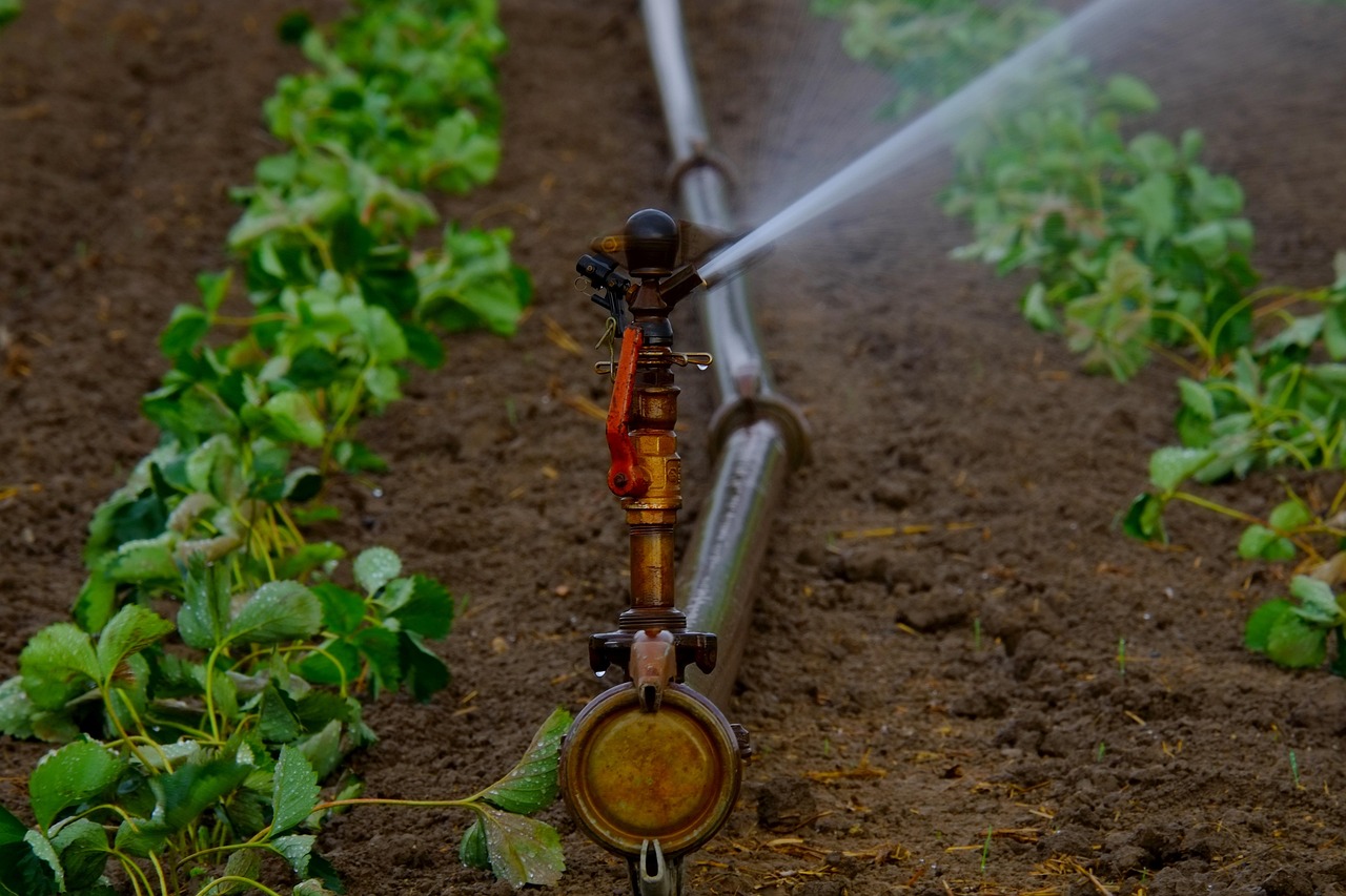 Smart Irrigation Technology For Agriculture » The Great Basin: A…