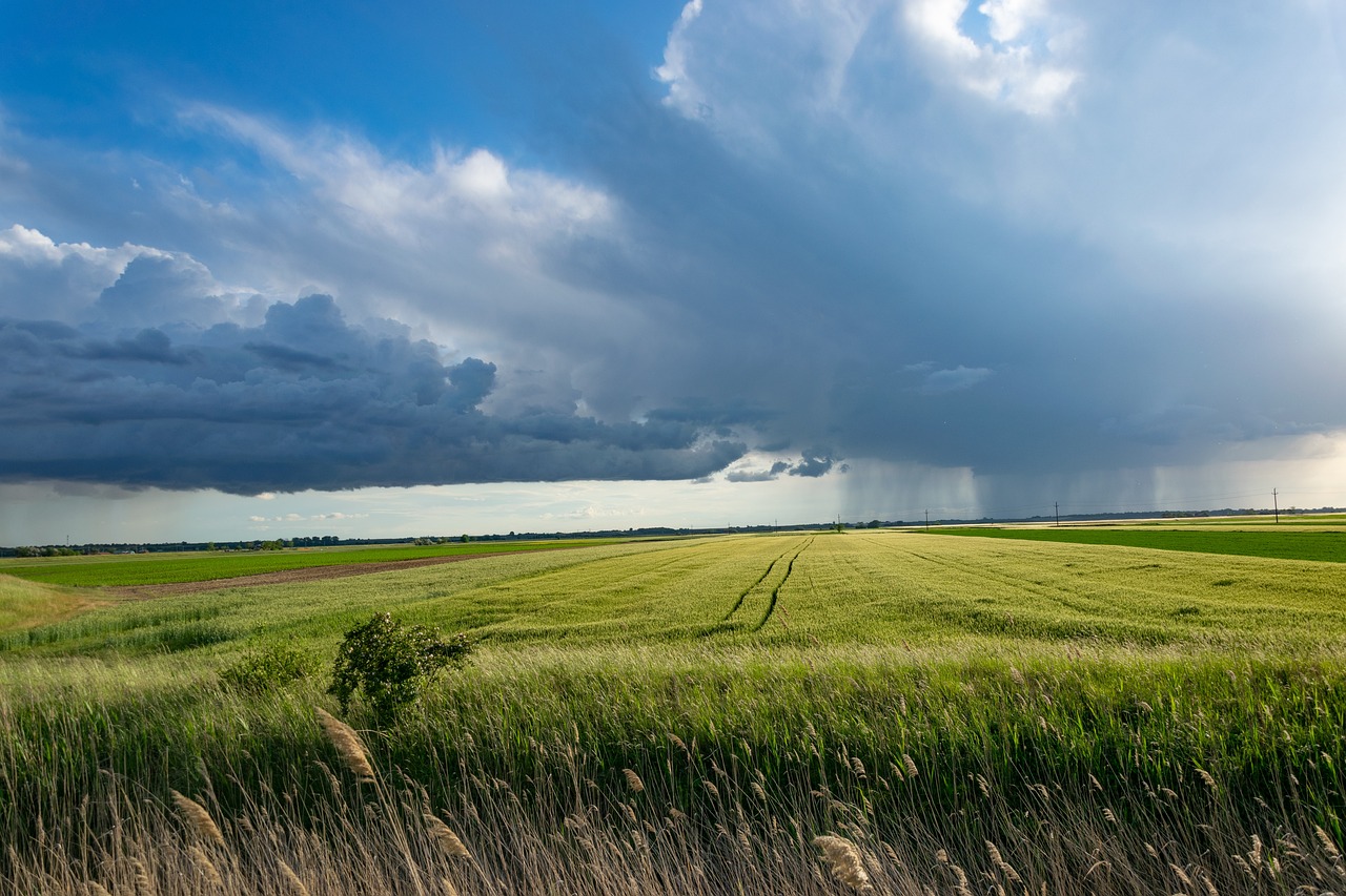Smart Irrigation Technology For Agriculture / Thirsty Land: Understanding The…