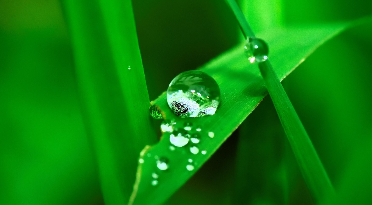 Smart Irrigation Technology For Agriculture ~ The Great Basin’s Thirst:…