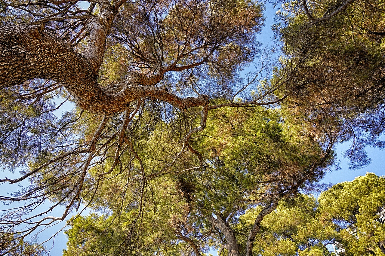 Sustainable Water Usage Practices | The Great Basin’s Thirsty Story:…