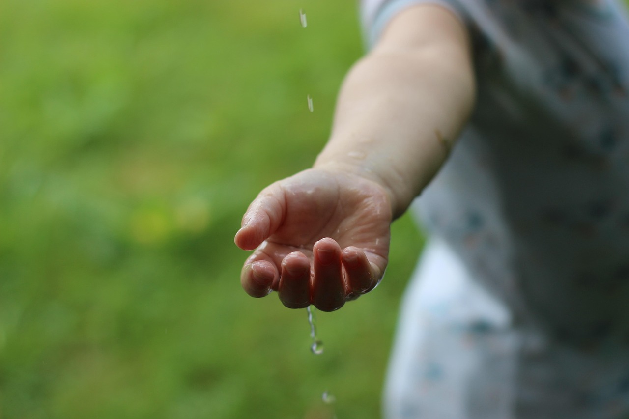 Sustainable Water Usage Practices: The Great Basin’s Thirsty Land: How…