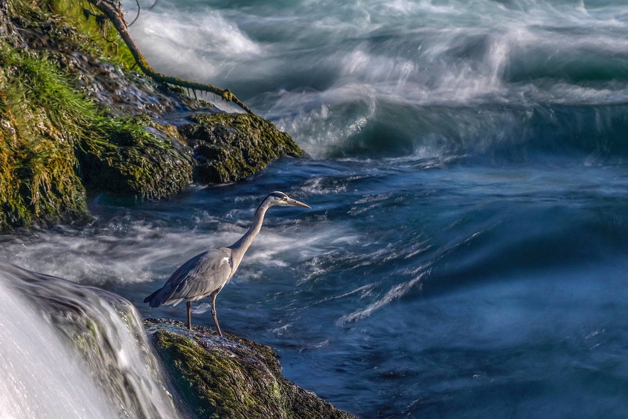 Water Shortage » The Great Basin: A Thirsty Land TL;DR:…