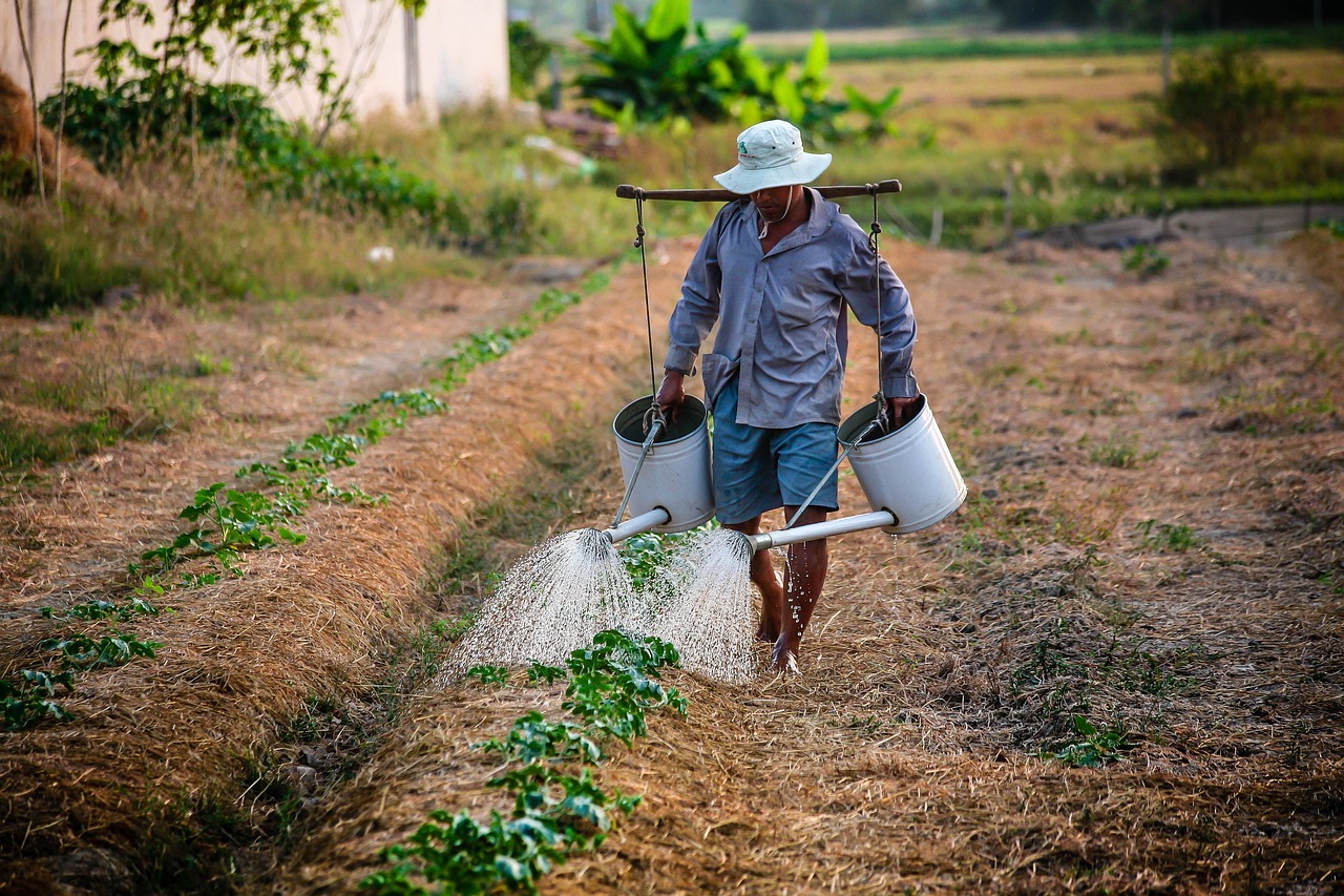 Water-efficient Irrigation Techniques ~ The Great Basin’s Thirsty Challenge: How…
