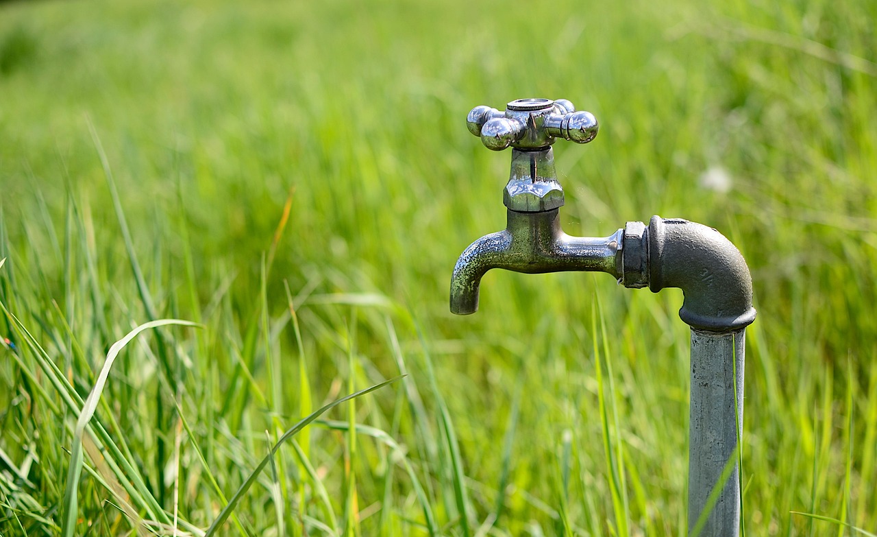 Water-efficient Irrigation Techniques: The Great Basin’s Water Woes: How Climate…