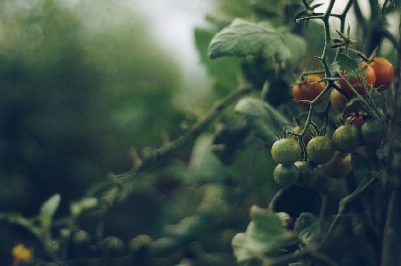 Water Scarcity Solutions For Agriculture » The Great Basin: A…