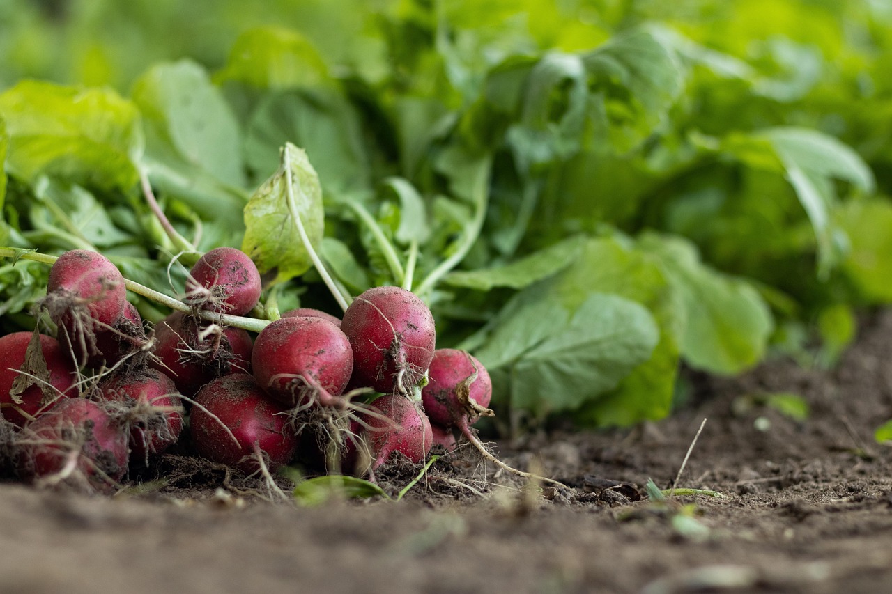 Water Scarcity Solutions For Agriculture – The Great Basin: A…