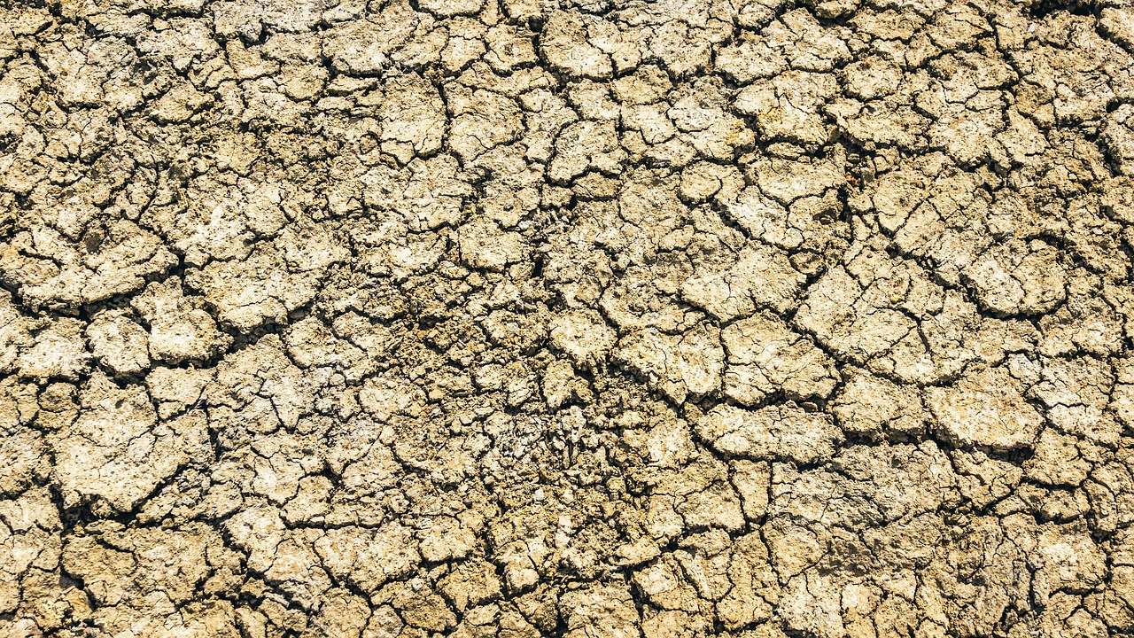 Water Scarcity Solutions For Agriculture – The Great Basin: A…